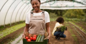 Seeia Connect Unlocking Africa's Agricultural Potential